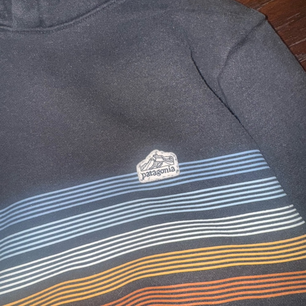 Patagonia Line Logo Ridge Stripe Uprisal Unisex Hoodie - Picture 2 of 4